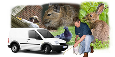 Coalville local van